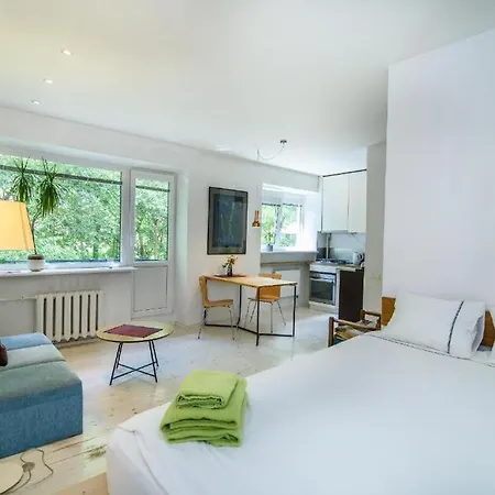 Studio On Vanagelio St 7 Apartman